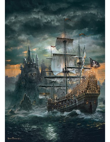 Puzzle PirateGéant Adulte Comparez plus de prix