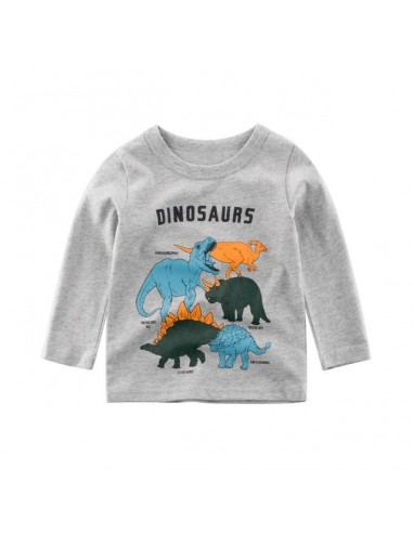 T-Shirt Dinosaure  Famille online