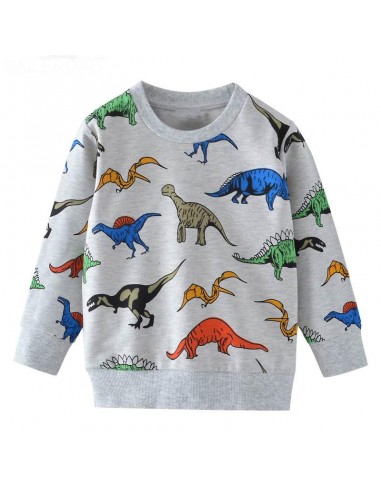 Sweat Dinosaure  Garçon Jurassique Par le système avancé 