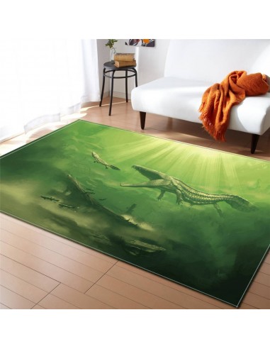 tapis dinosaure vert solde