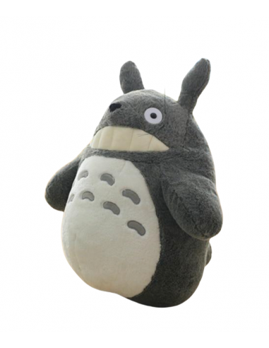 Totoro Par le système avancé 