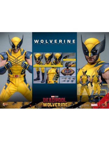 Deadpool & Wolverine Movie Masterpiece figurine 1/6 Wolverine 31 cm est présent 