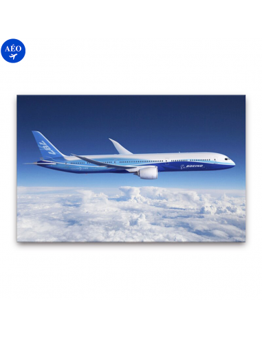 Aéo - Affiche Boeing 787 de la marque