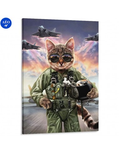 Aéo - Affiche Pilote Cat de la marque